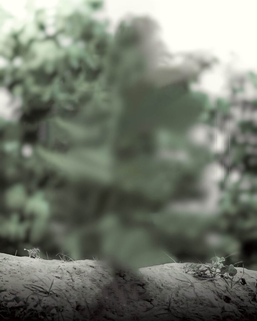 instagram photo background hd