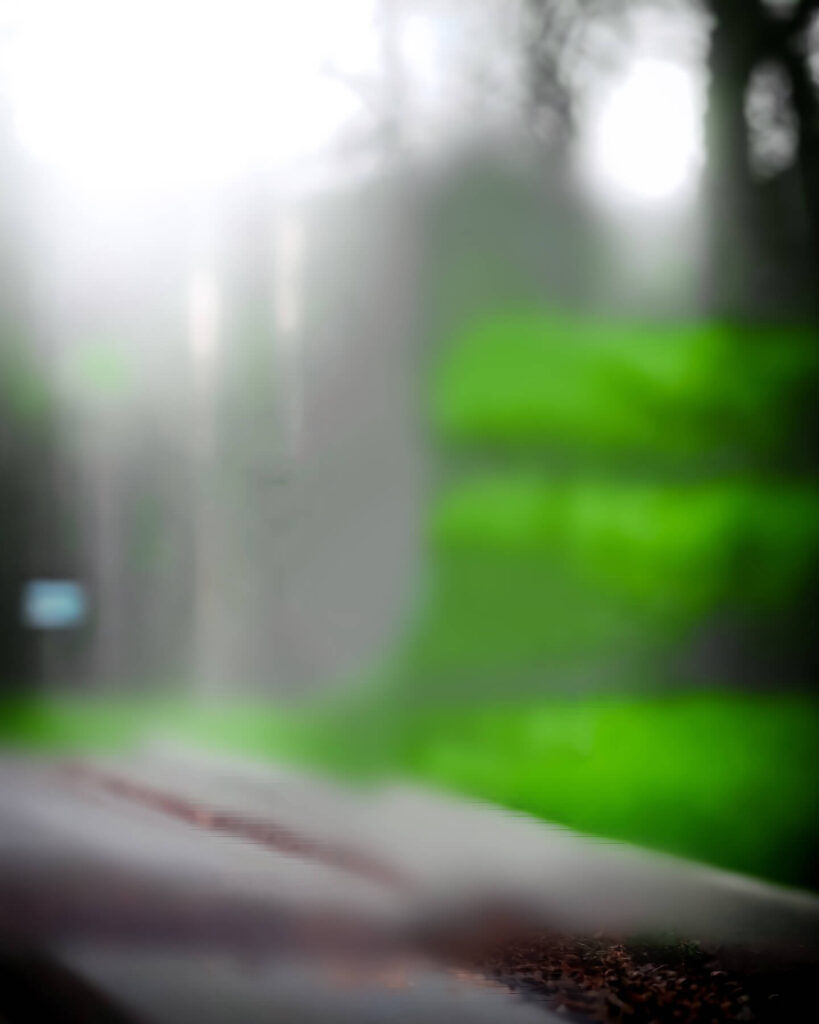 lightroom editing photo background