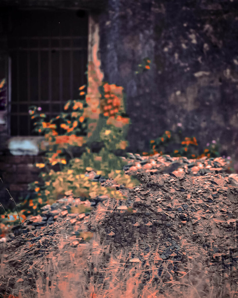 lightroom photo background hd