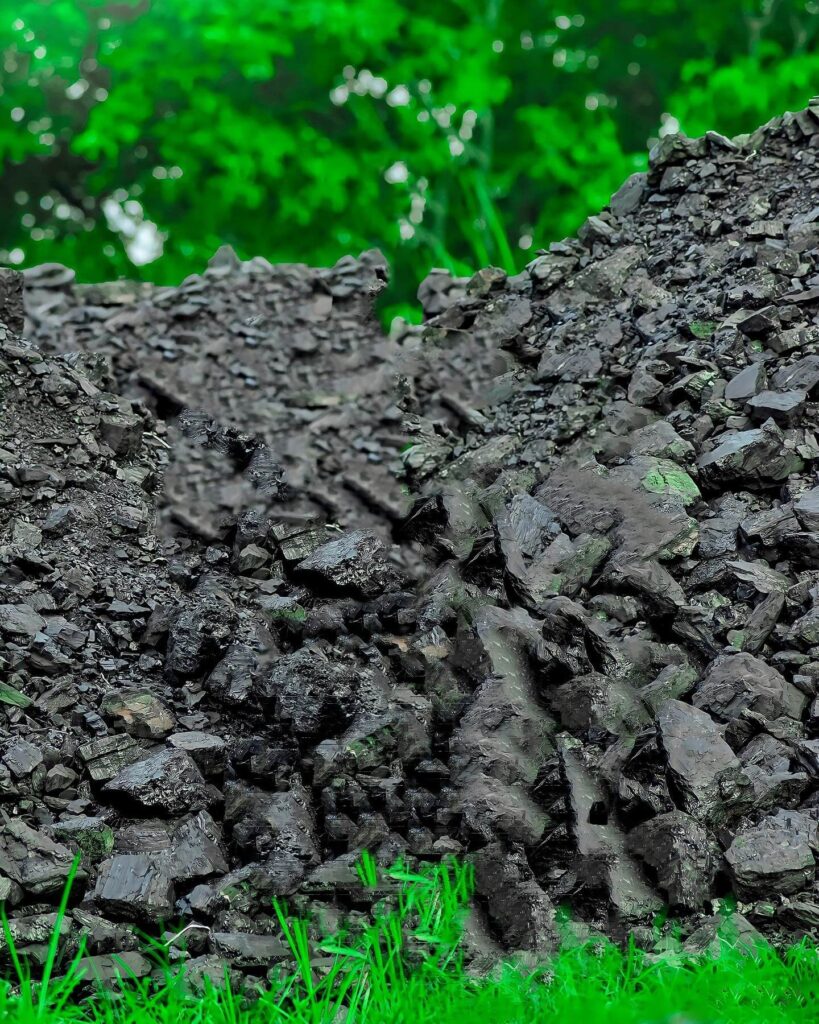 new photo background