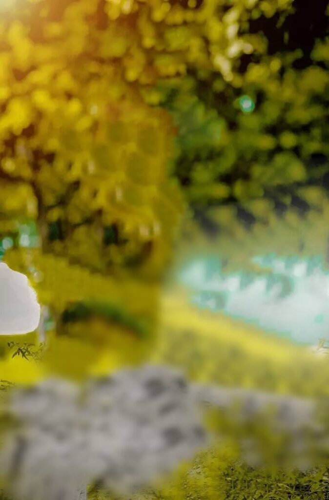 photo background blur editing