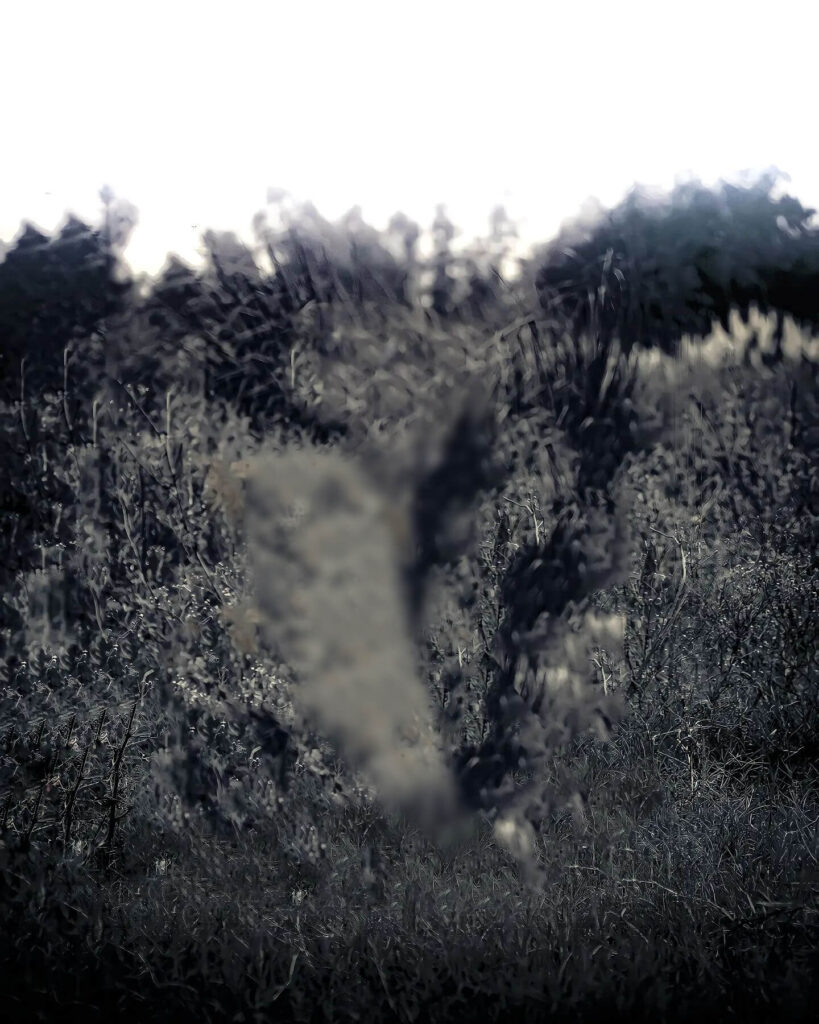 photo background download free