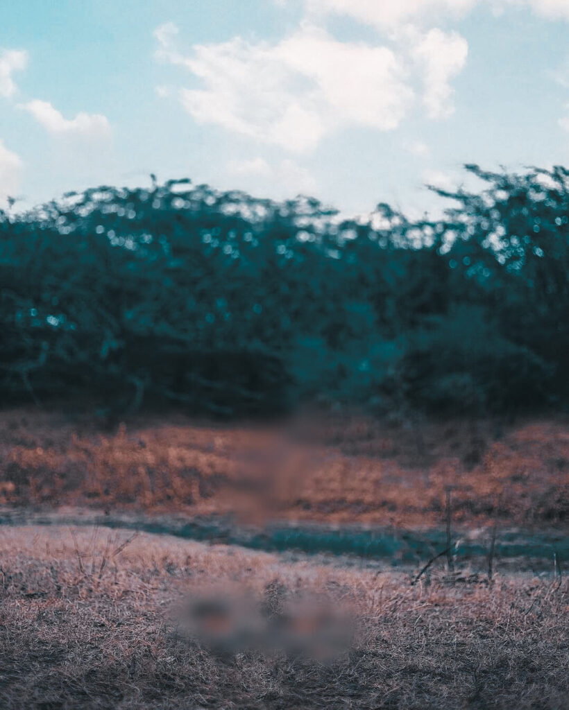 photo background download new