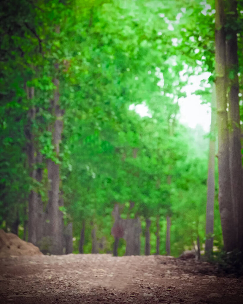 photo background edit