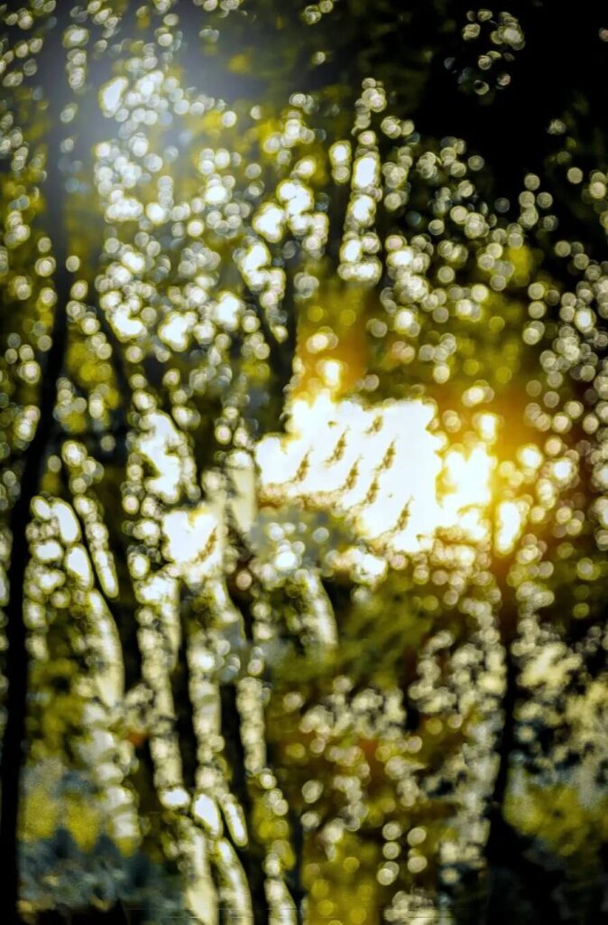 photo background images hd 1080p free download