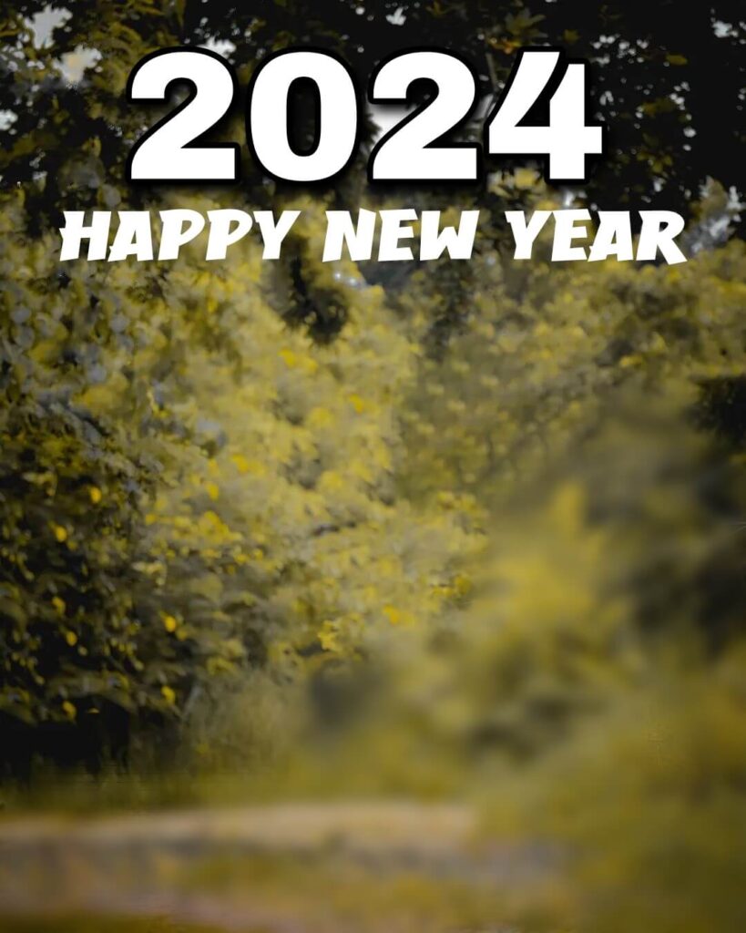 2024 Happy New Year Latest Editing Background HD 13 2024 Happy New Year Latest Editing Background hd