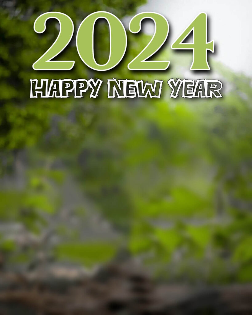 2024 Photo Editing Happy New Year Background 9 2024 Photo Editing happy new year Background