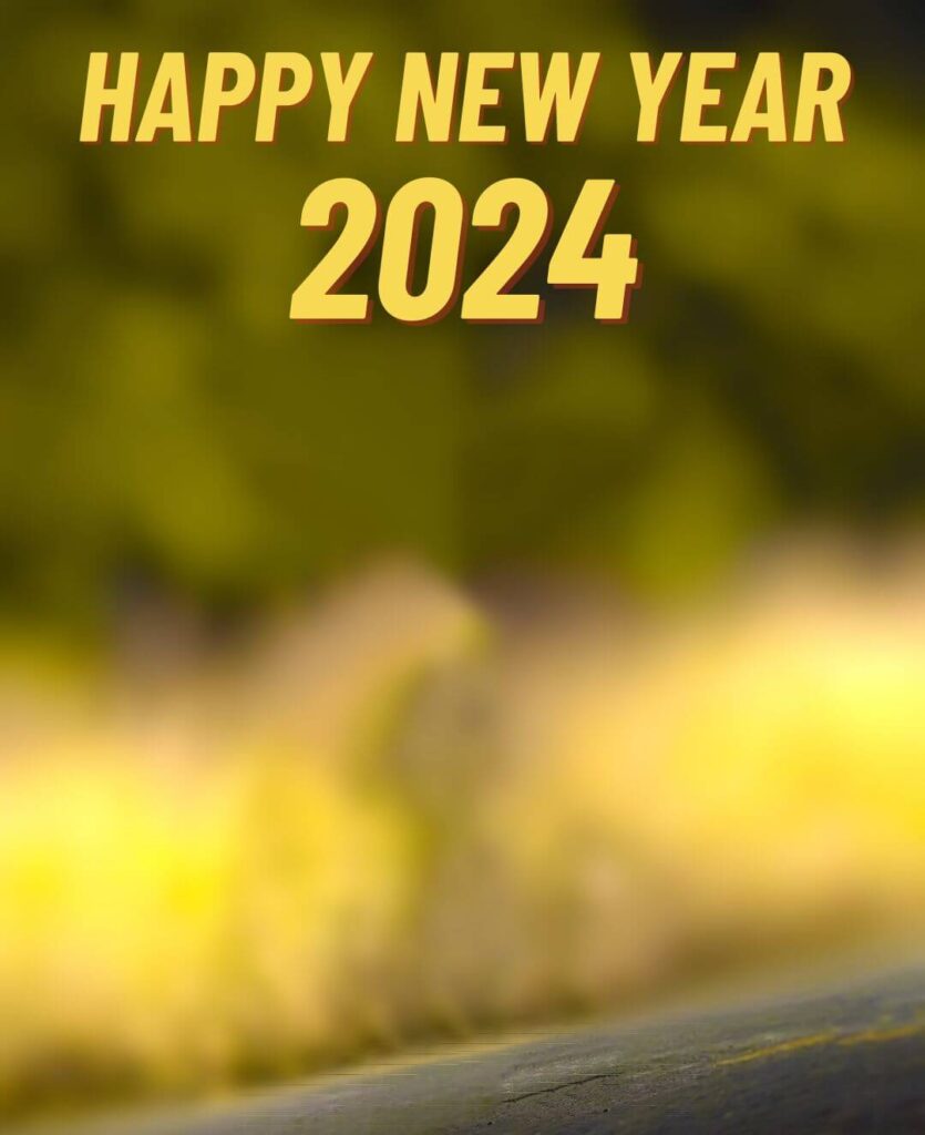 Happy New Year 2024 Editing Wallpaper Background Images 8 Happy New Year 2024 Editing Wallpaper Background Images