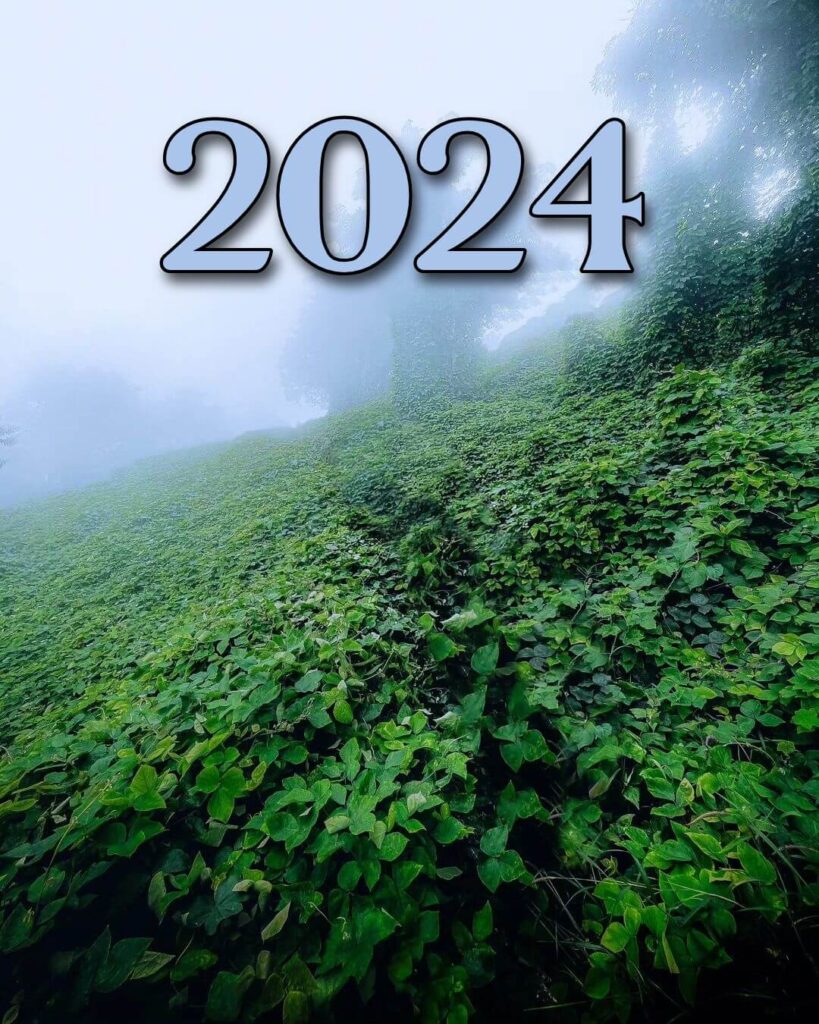 happy new year 2024 photos background