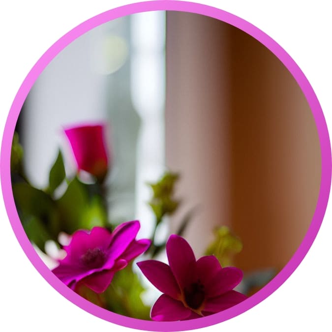 Best Most Beautiful Nature Dpz