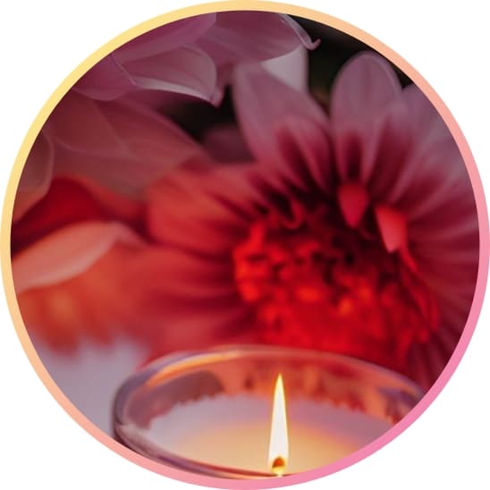 Eye Catching Nature Dp For Whatsapp Images Wallpaper