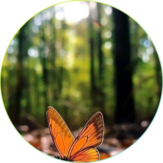 Eye catching nature dp