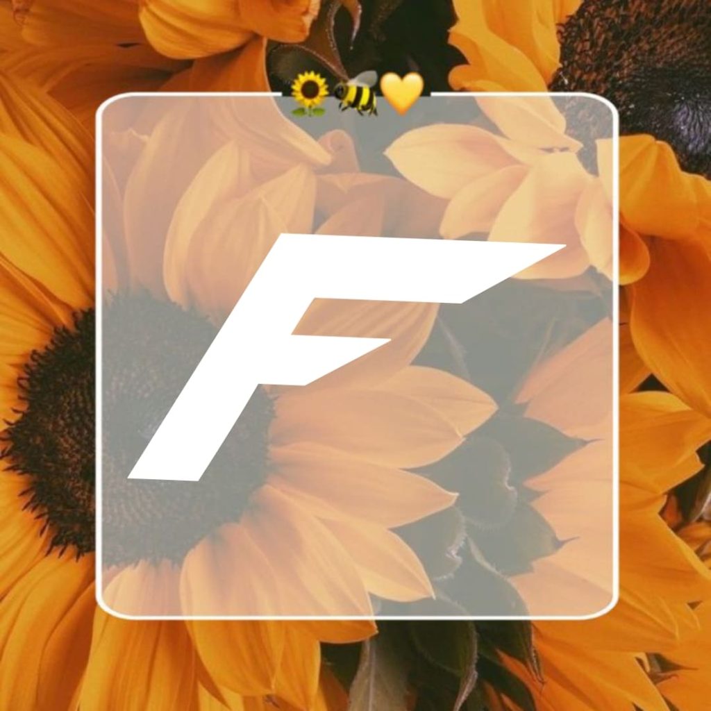 520+ f name dp, photos, wallpaper & pics 2024 9 F Letter Images DP