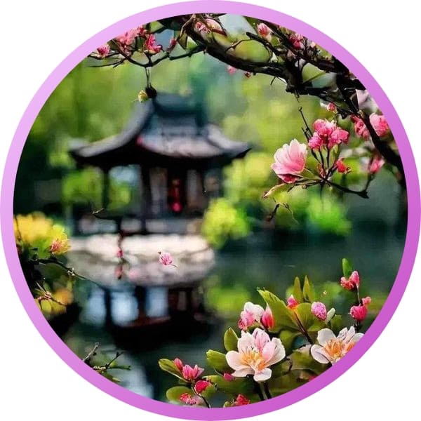 Natural Attractive WhatsApp DP