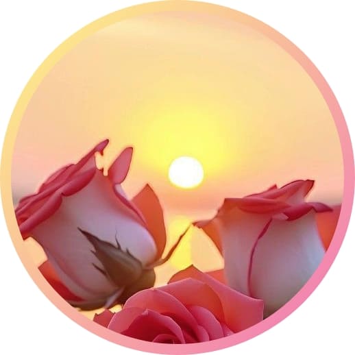 Natural Attractive Whatsapp DP Images HD