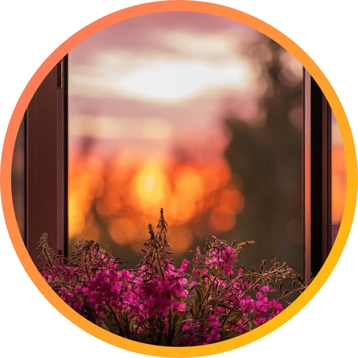 Nature DP for Whatsapp & Instagram