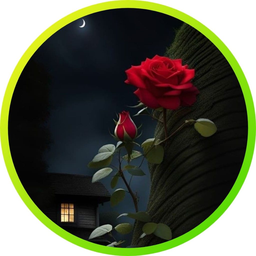 Nature For Whatsapp Dp