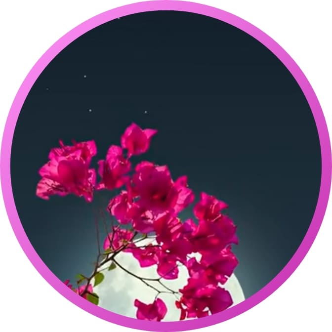 Nature For Whatsapp Dp Wallpaper