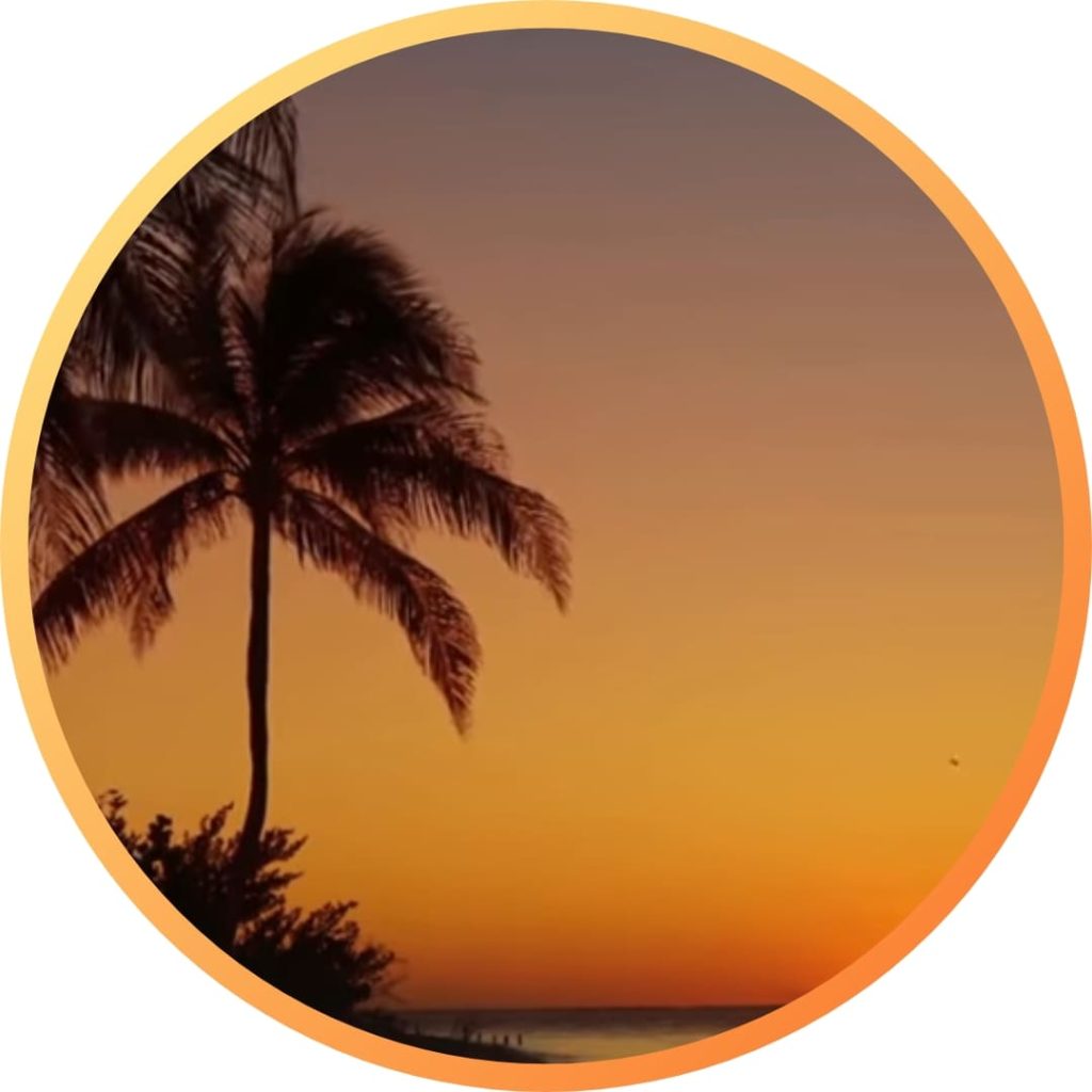 Nature dp HD wallpapers