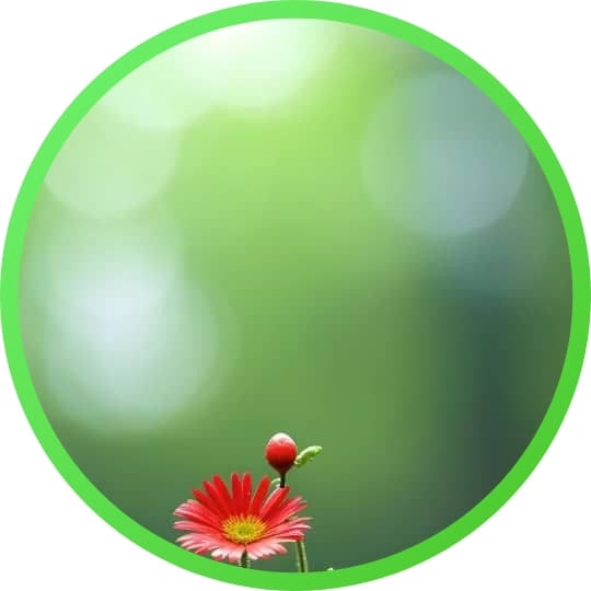 nature Whatsapp Dp Images