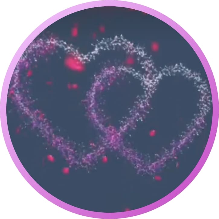 nature wallpaper for whatsapp profile pic