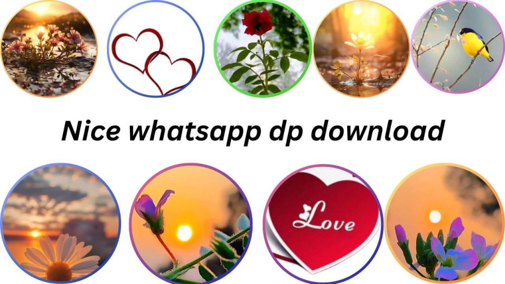 nice whatsapp dp
