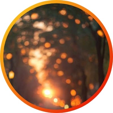 whatsapp wallpaper nature