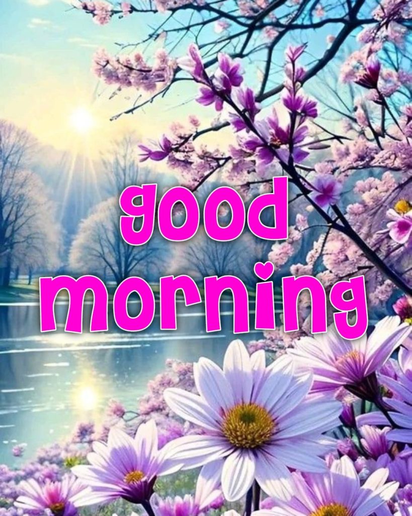 free good morning images for whatsapp