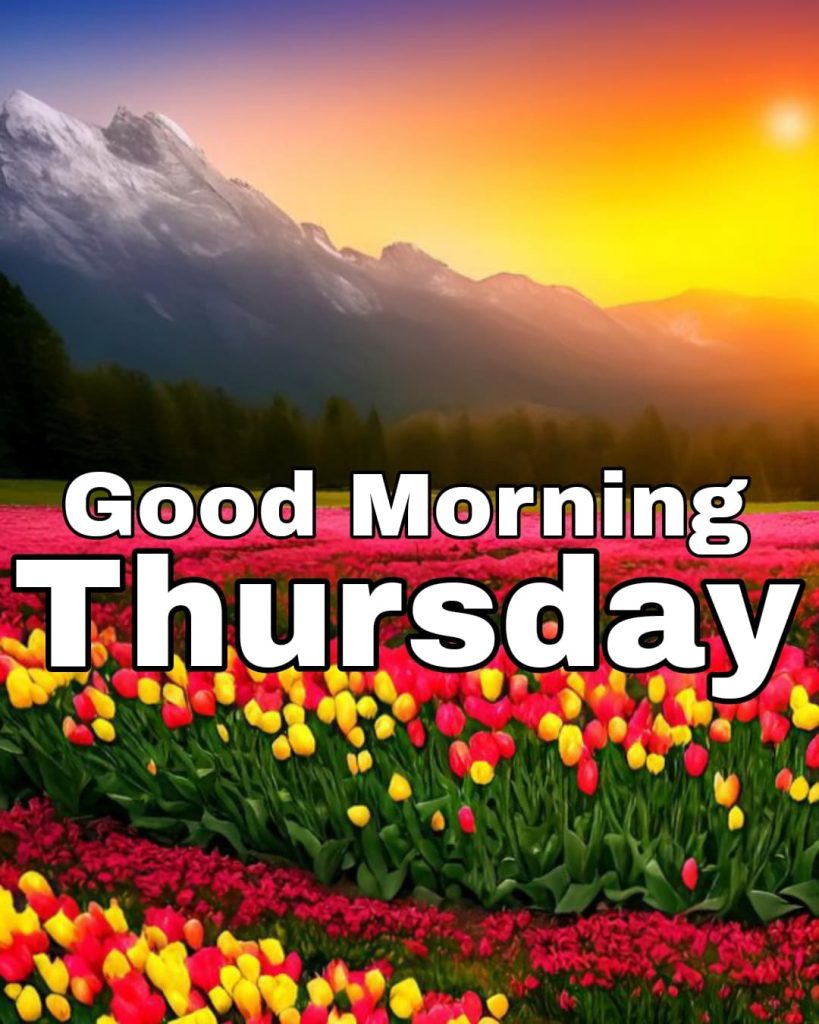 good morning blessed thursday