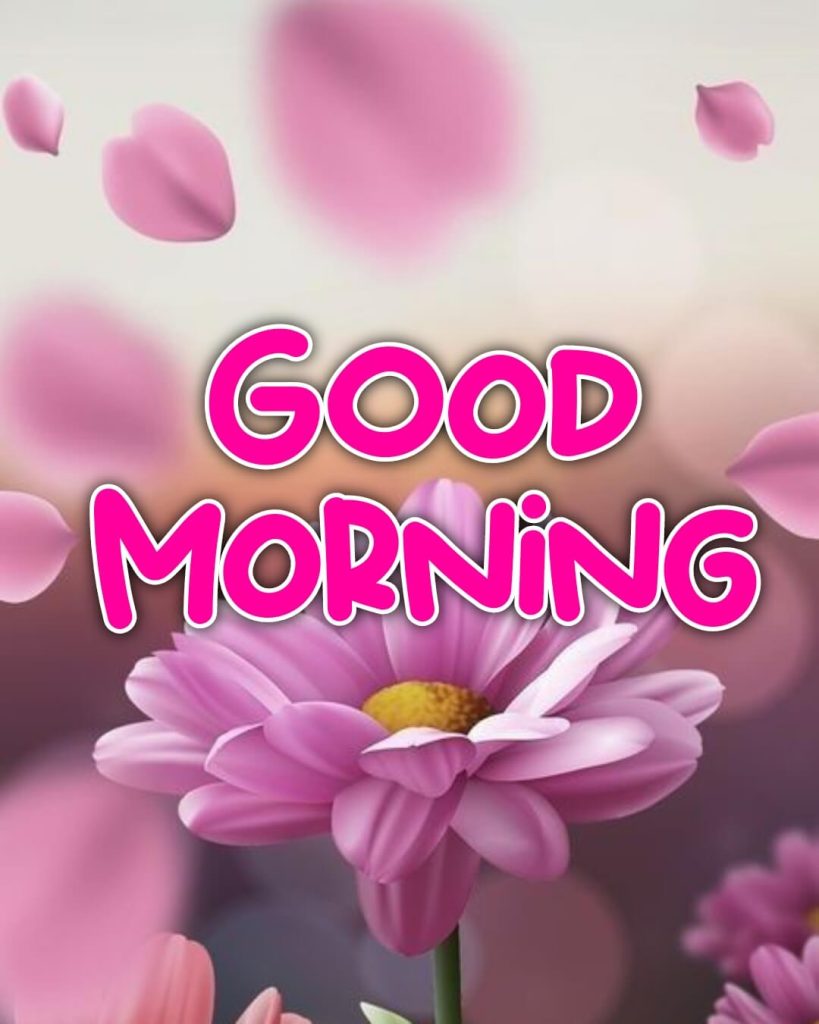 good morning images for my love