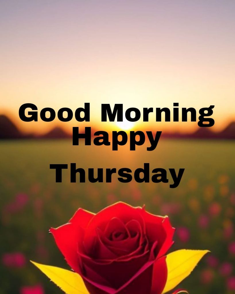 good morning thursday flowers