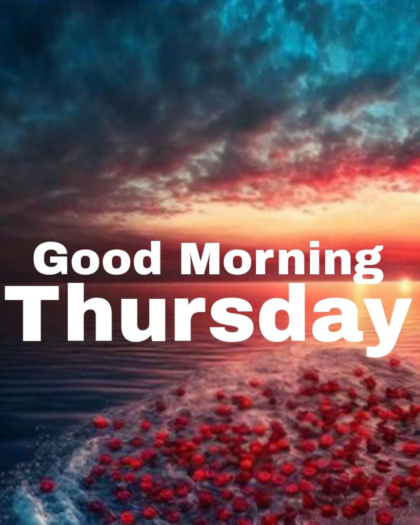 good morning thursday funny