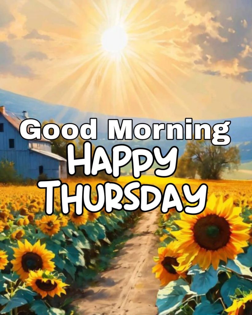 good morning thursday images 4k