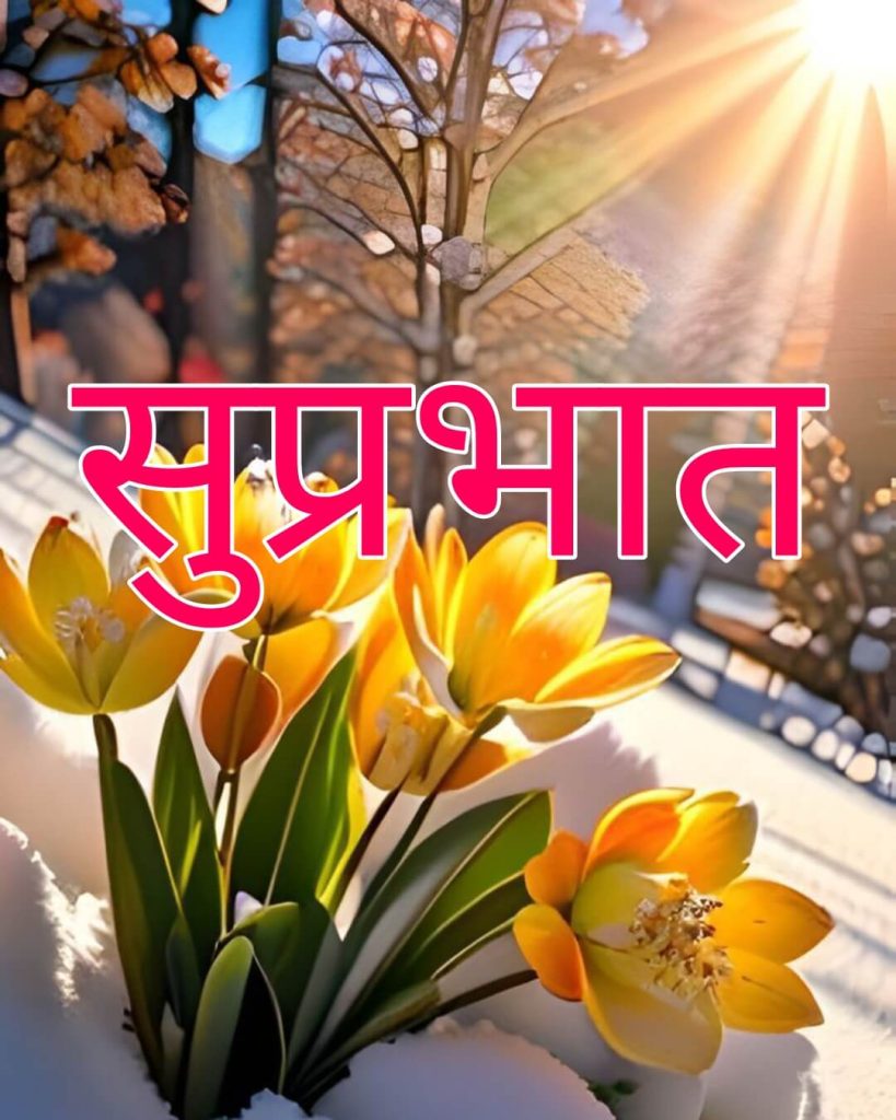 good morning tuesday images in hindi