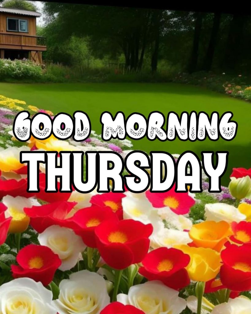 happy good morning thursday
