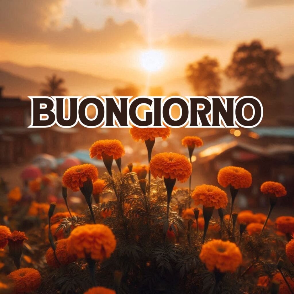 Buongiorno nuovissimi 2024 immagini gratis