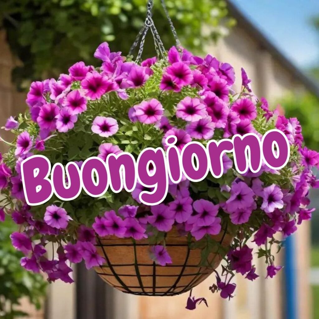 Immagini Bellissime Buongiorno nuove