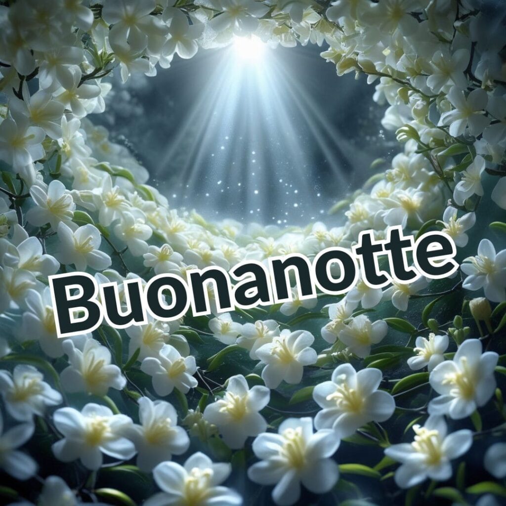 Nuovissimo buonanotte immagini recenti gratis per whatsapp 2024