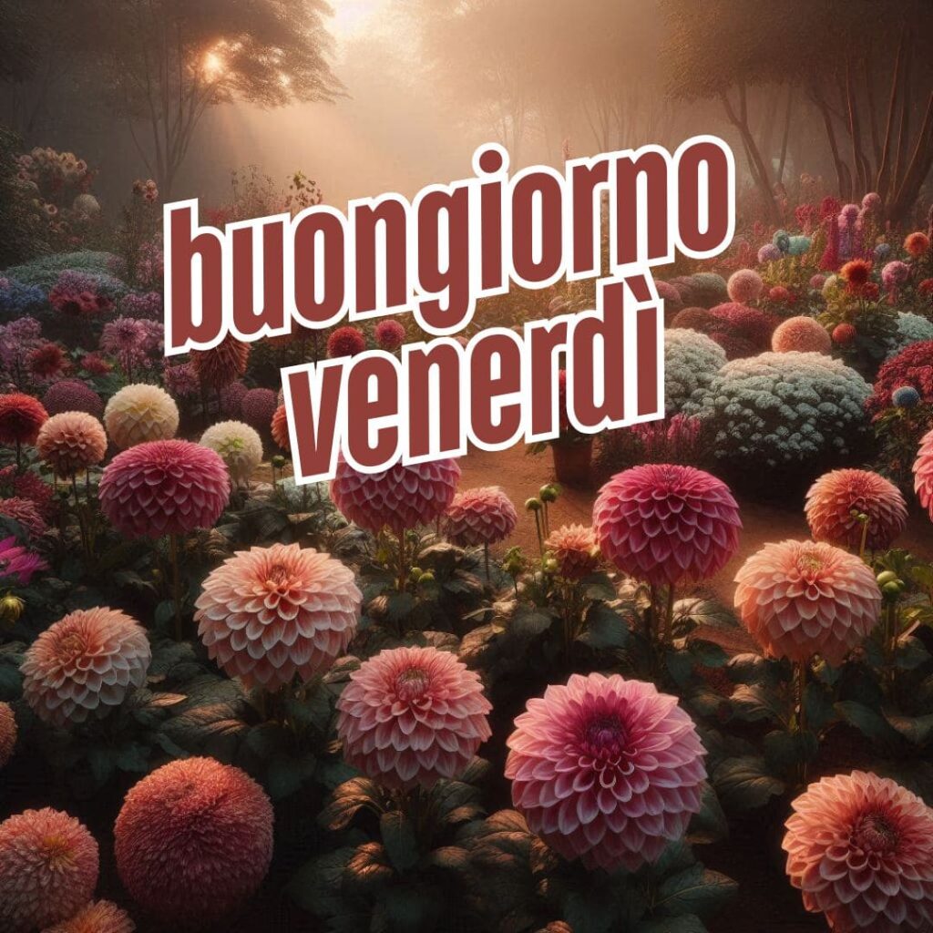 augurando it buongiorno buon venerdì immagini nuove