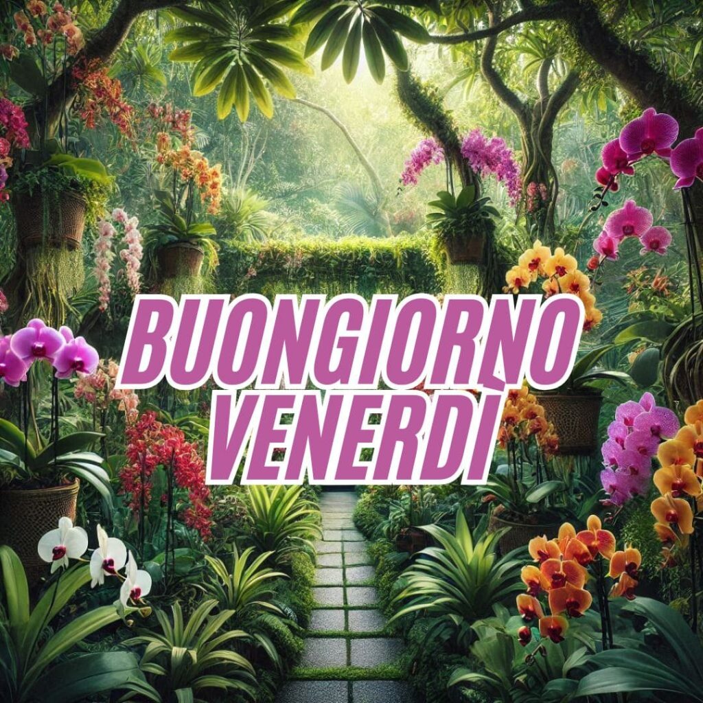 buongiorno buon venerdì immagini nuove 2025