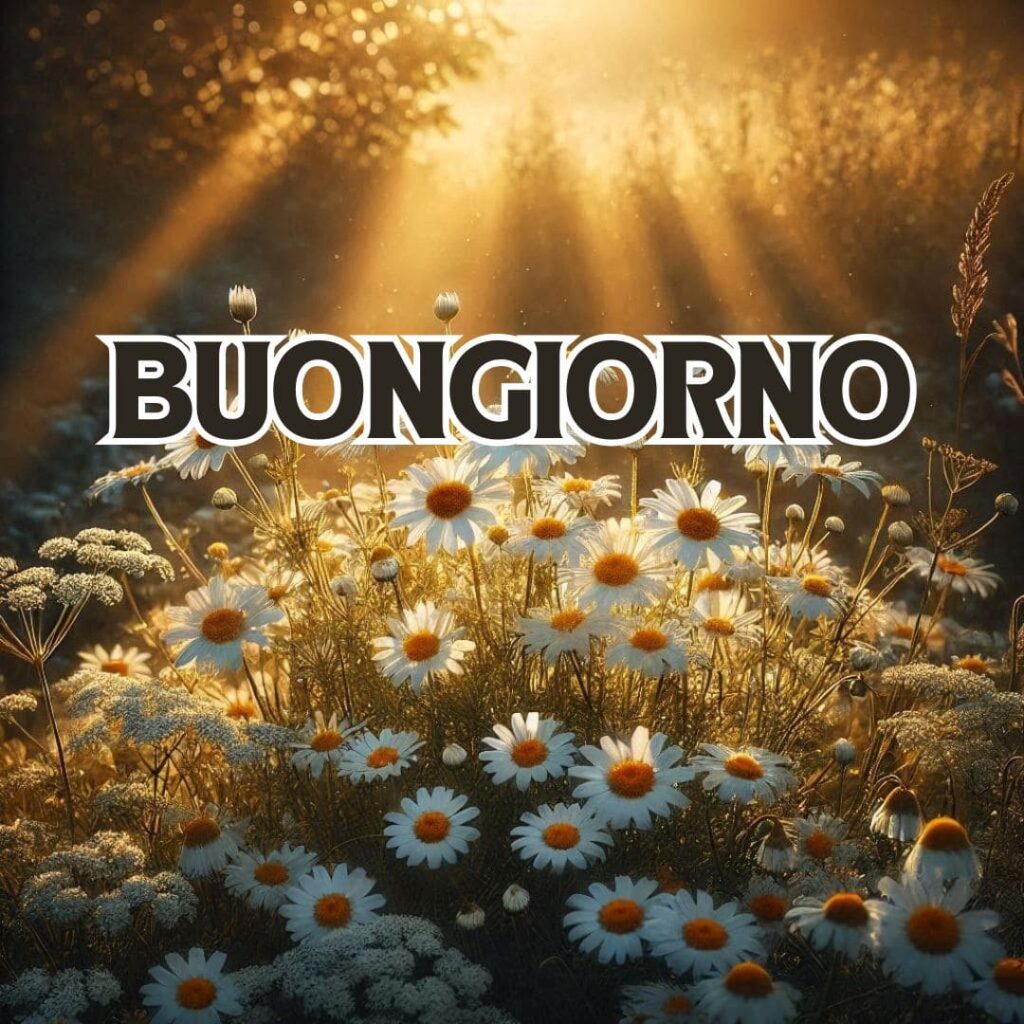 buongiorno immagini bellissime