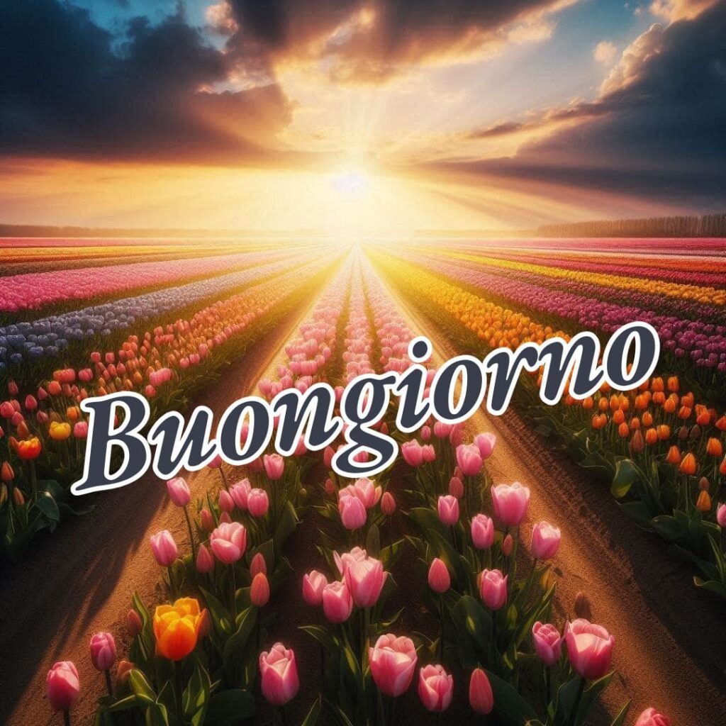 buongiorno immagini bellissime gratis