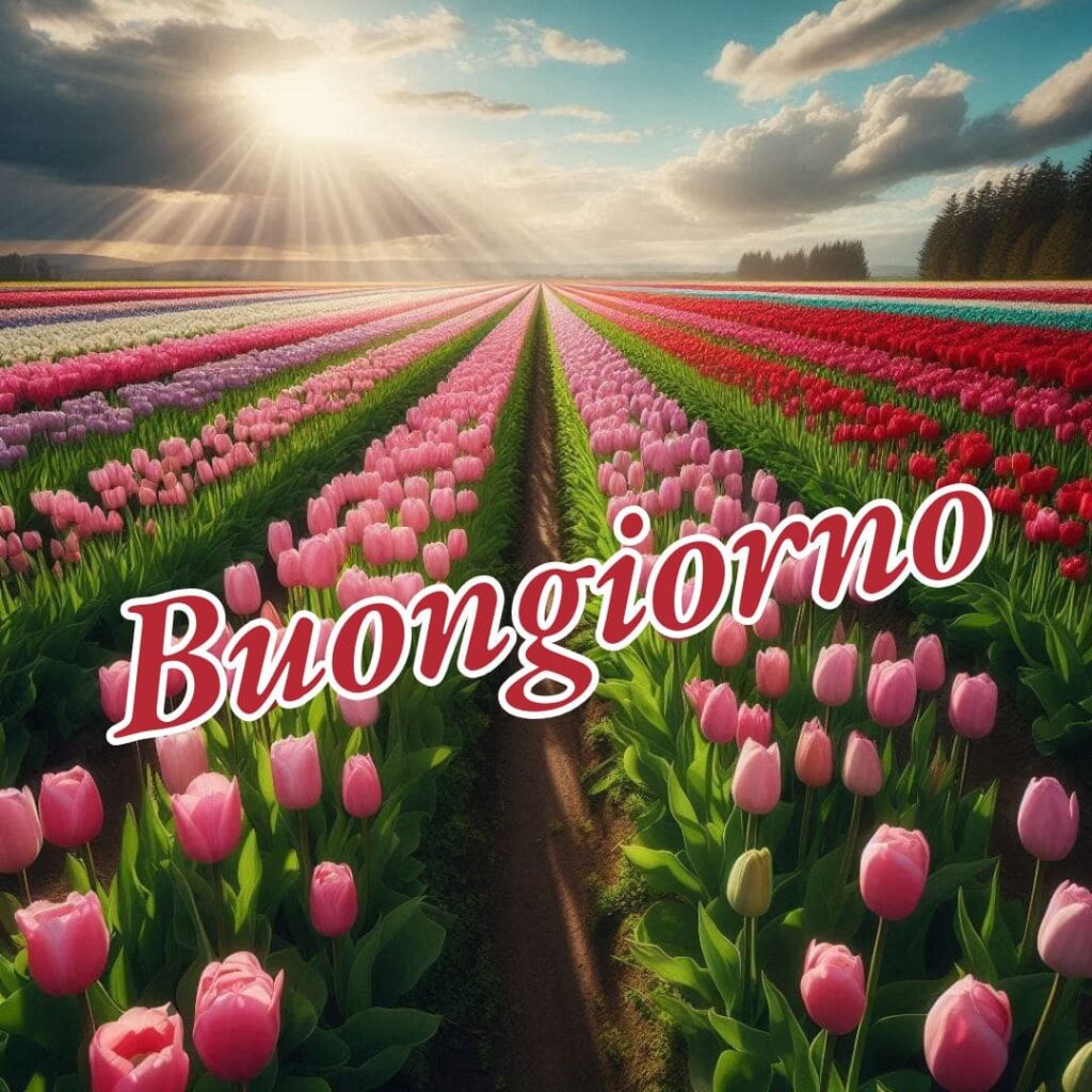 buongiorno immagini nuove gratis per whatsapp
