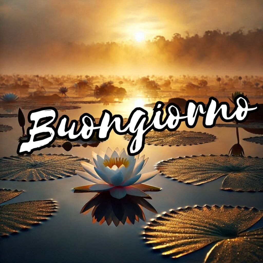 buongiorno nuovissimi