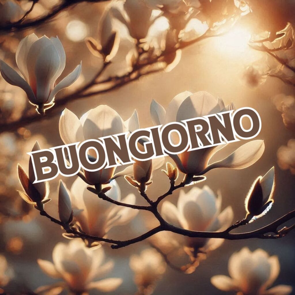 buongiorno nuovissimi invernali