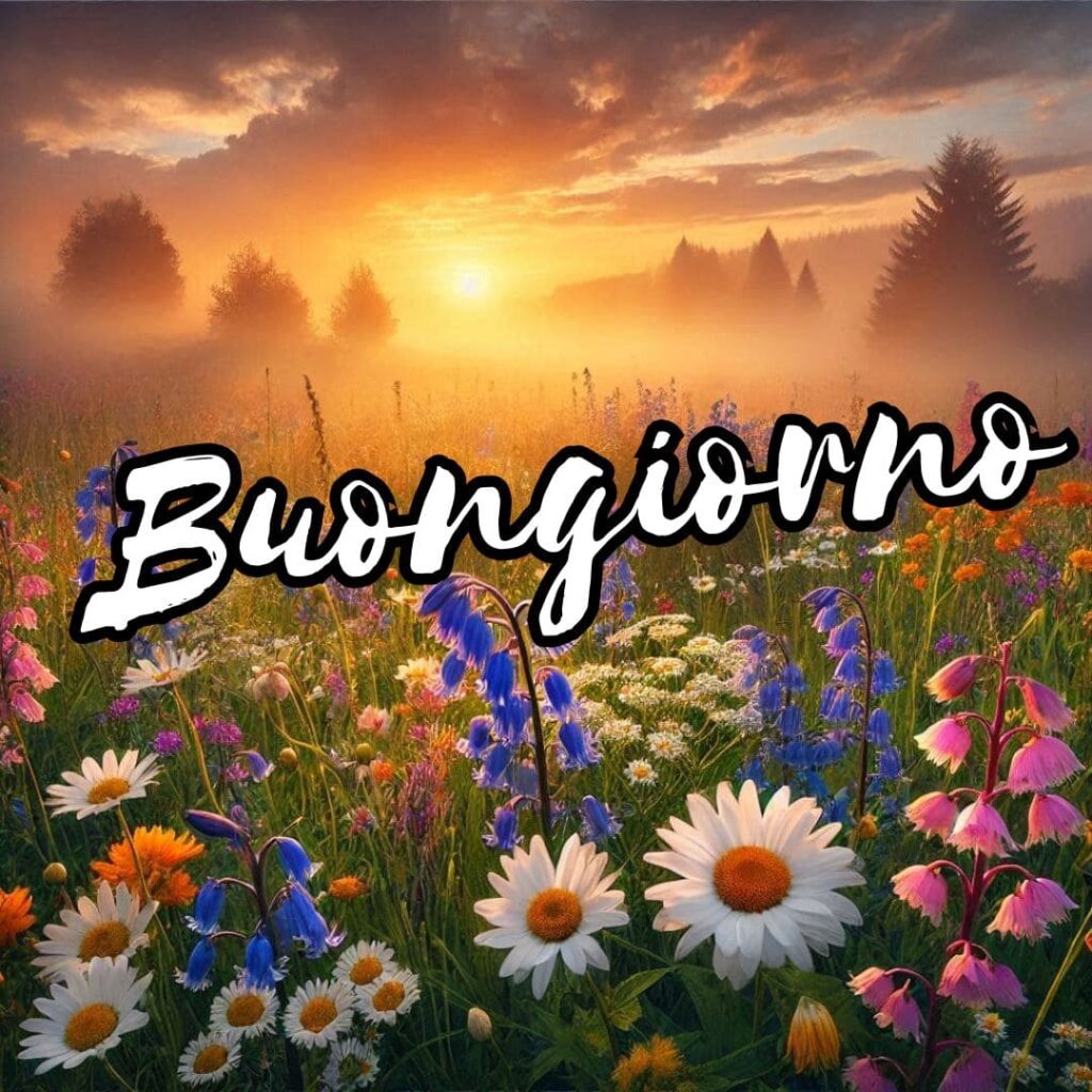 buongiorno nuovissimi invernali natalizi