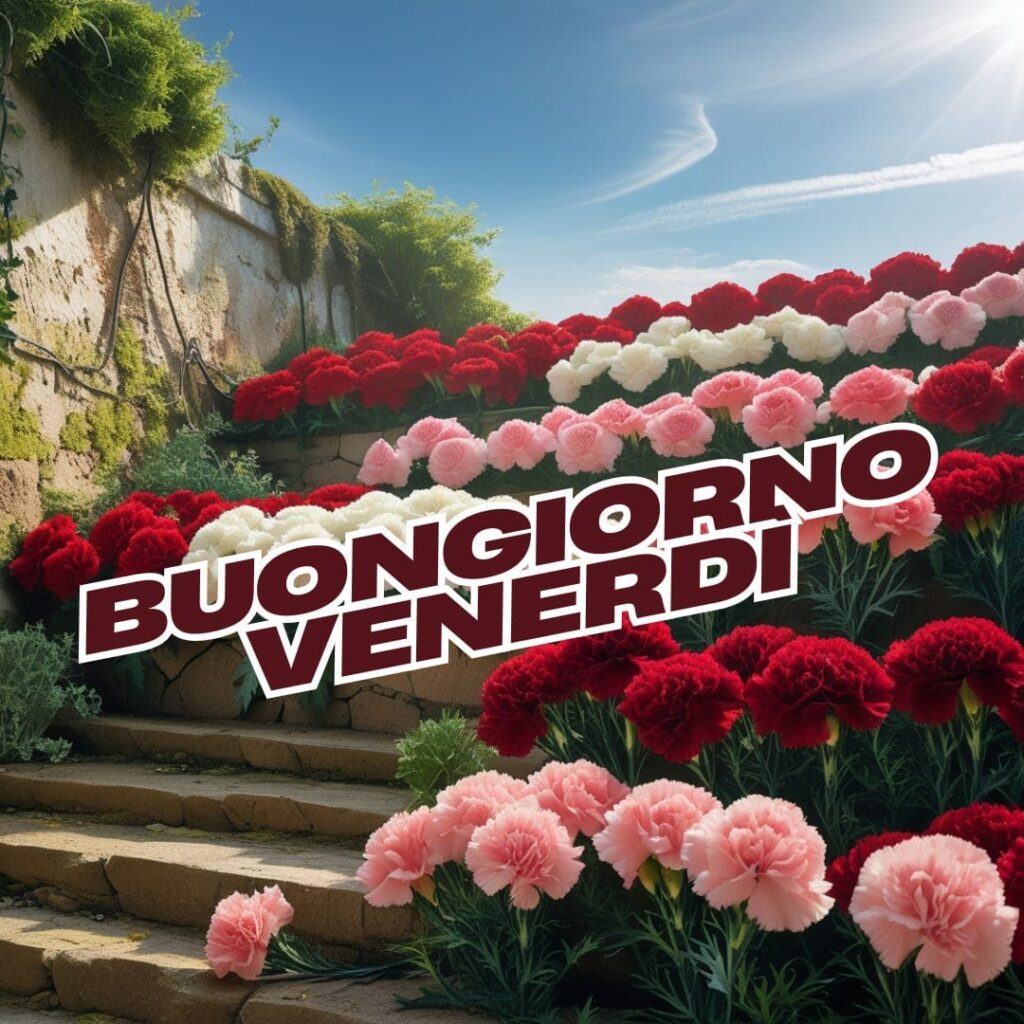 buongiorno venerdi 2025 Immagini gratis nuove