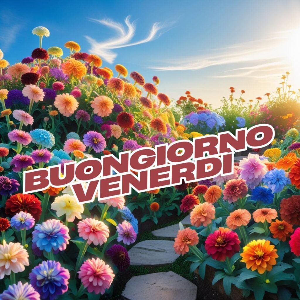 buongiorno venerdi immagini nuove 2024 gratis