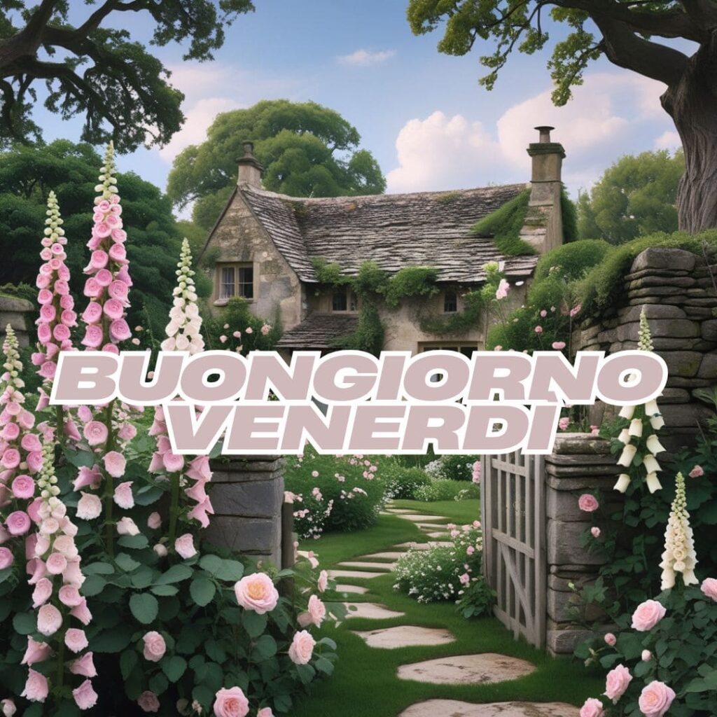 buongiorno venerdi immagini nuove 2025 gratis
