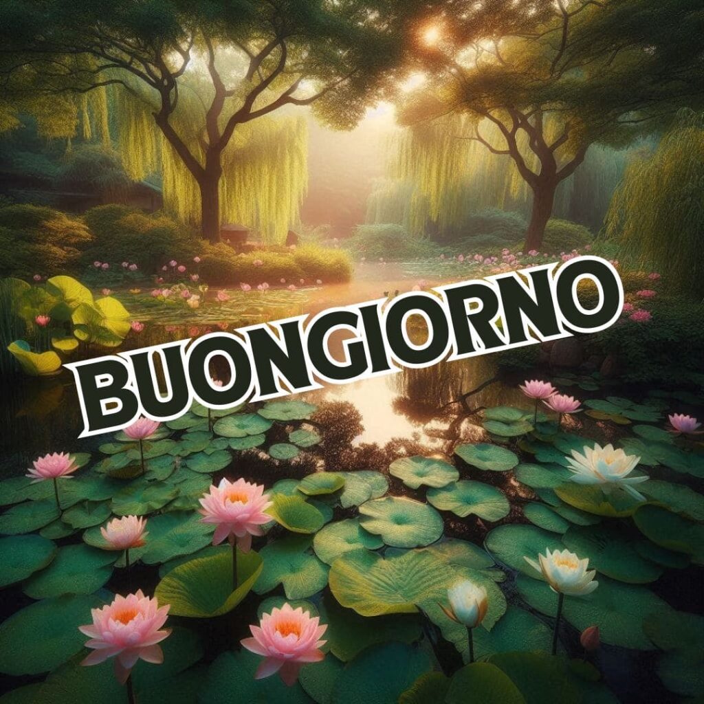 immagini di buongiorno bellissimi venerdì